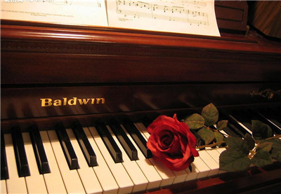 哈爾濱鋼琴培訓學校告訴你兒童學鋼琴的十個“不要”